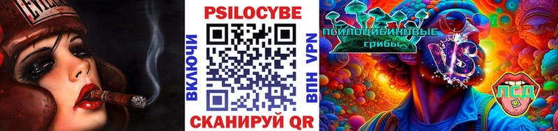 где купить   Ржев  Галлюциногенные грибы Psilocybe 